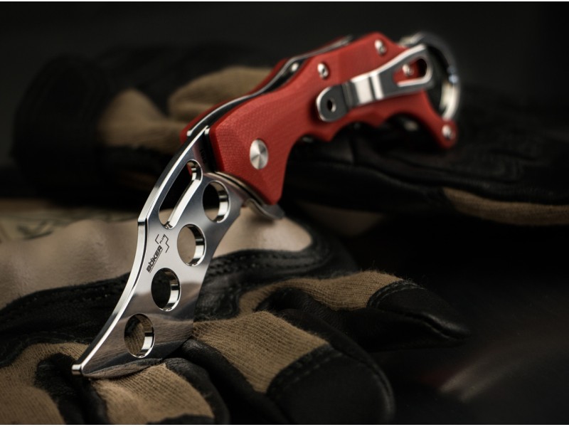 wildcat-trainer-2